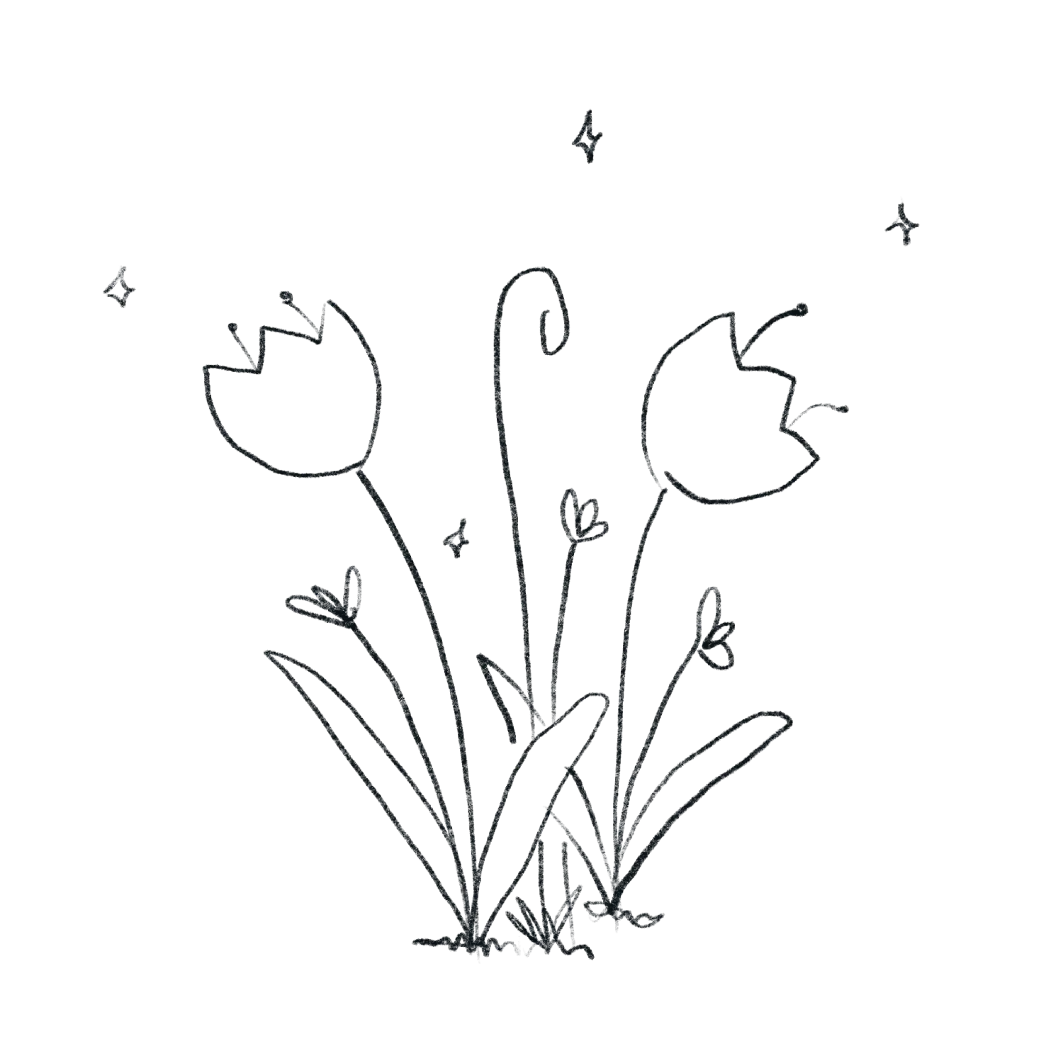 Flores